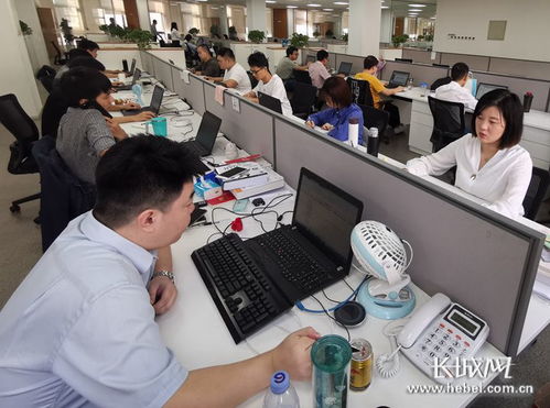 從公積金服務到政務全場景 神玥軟件的網絡技術服務拓展之路